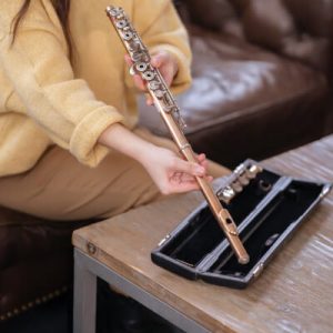 Gallery Musician Template Gallery Img B 4 300x300 1