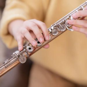 Gallery Musician Template Gallery Img B 6 300x300 1