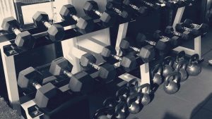 Home Slide 7 Free Img 300x169 1